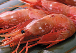 �{�^���G�r�i�h�g�p�j