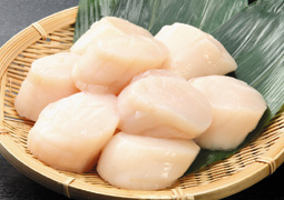 �z�^�e�L���i�h�g�p�j