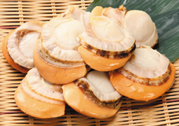 �ނ��z�^�e