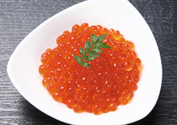 ������ݖ���