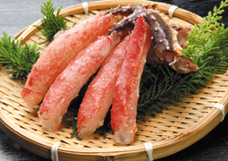 �^���o�K�j�|�[�V����