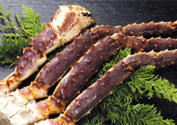 �^���o�K�j��