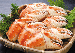 �^���o�K�j��