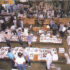 ���������s��