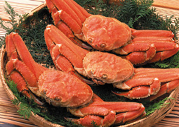 �Y���C�K�j�p