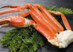 �Y���C�K�j��