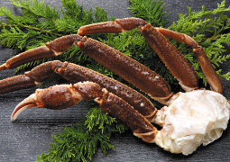 �Y���C�K�j��