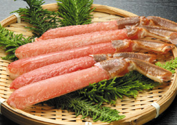 �Y���C�K�j�|�[�V����