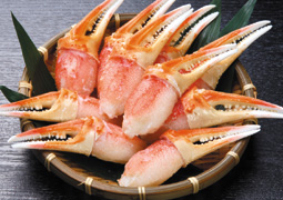 �Y���C�K�j��